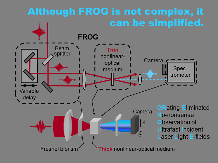 frog - grenouille633x475.png