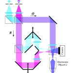 Lyncee tec反射式数字全息显微镜