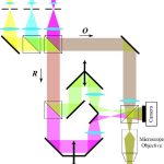 Lyncee tec反射式数字全息显微镜