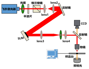 基于空间光调制器的飞秒激光诱导双光子聚合加工系统