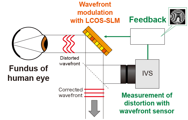 h-measurement-2-en-2